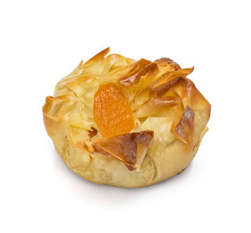 Tourtière de Gascogne | Aprikose